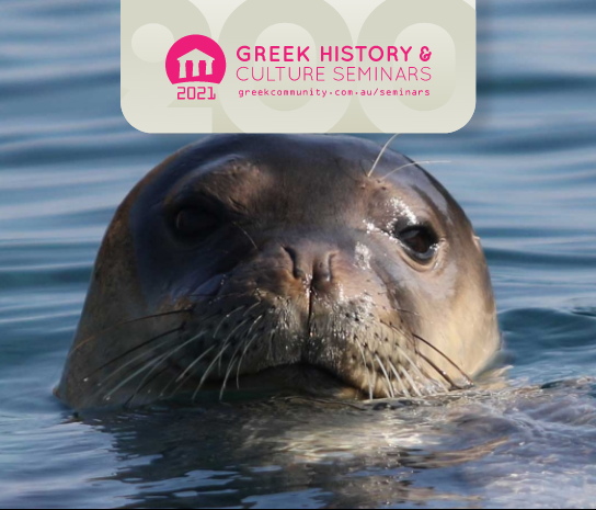 Online-Only: The Mediterranean monk seal, the rarest pinniped in the world