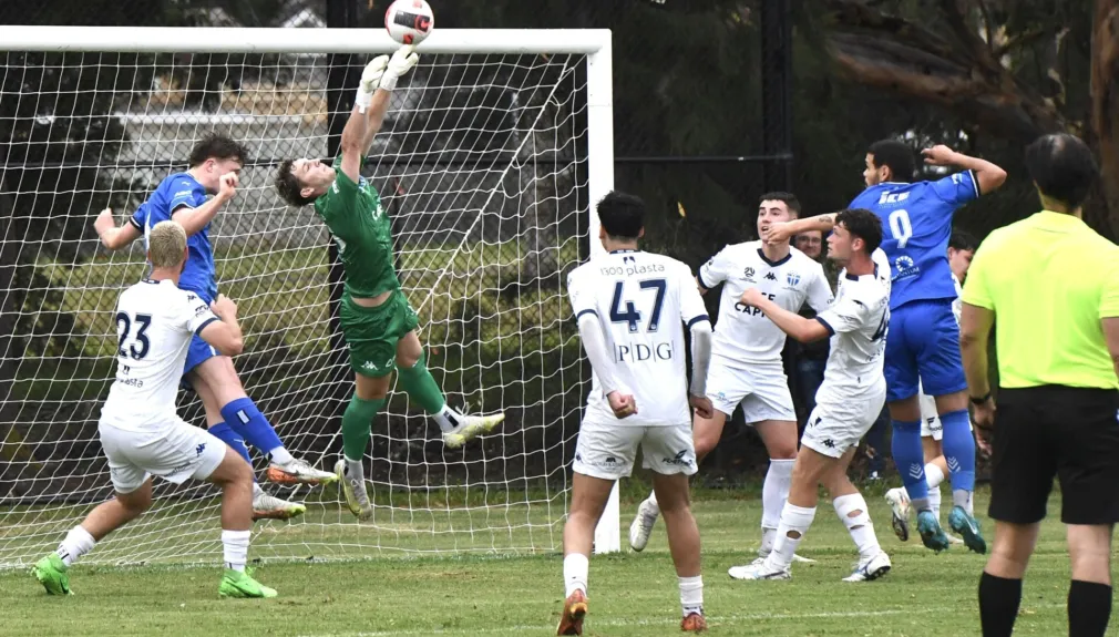 Thumbnail DSC 8692 1