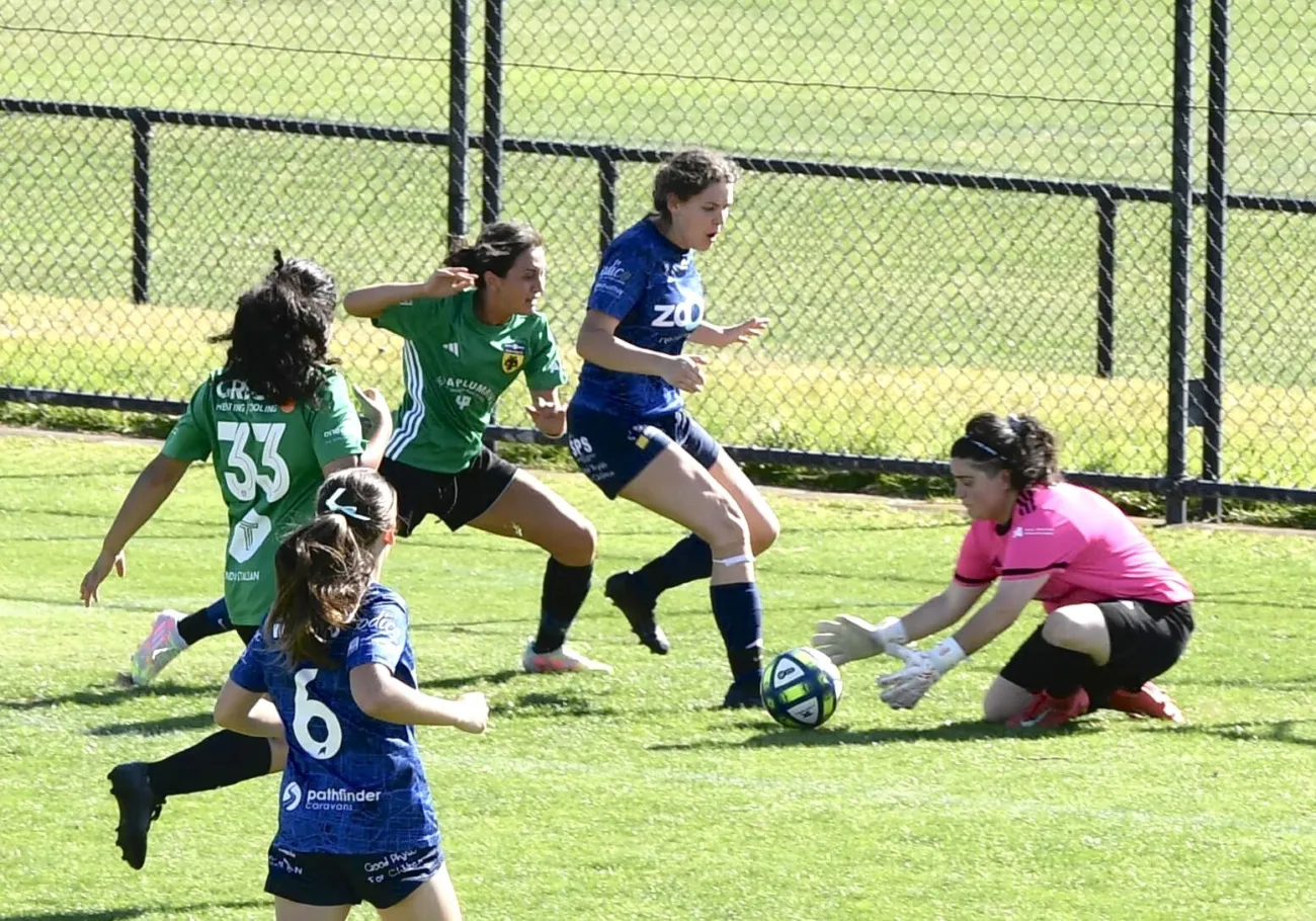 40d5bd24 bcf5 4a29 a2d4 2a4c0c913bad