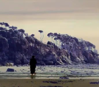 9a4442d8 4241 9f3a 760f 1e69c5eaa111