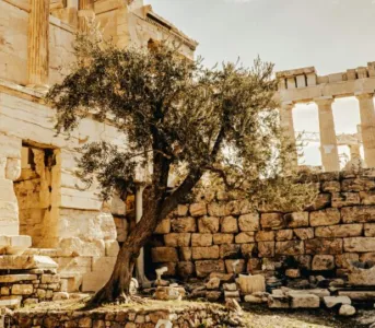 EDM Image Template 2