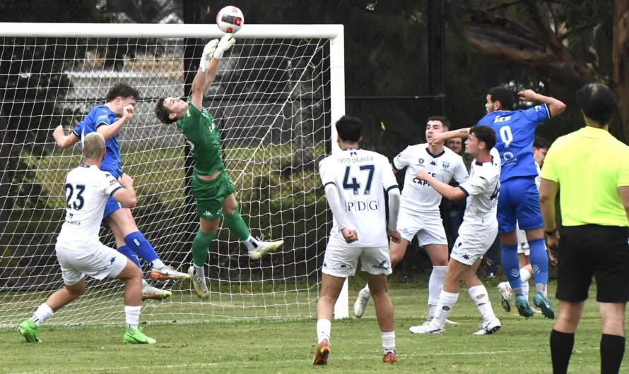 Thumbnail DSC 8692 1