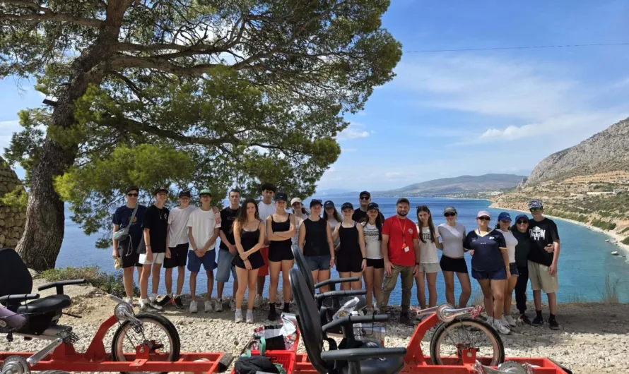 Ce6aee40 6999 4af2 8ca4 4b417b7cf5dc