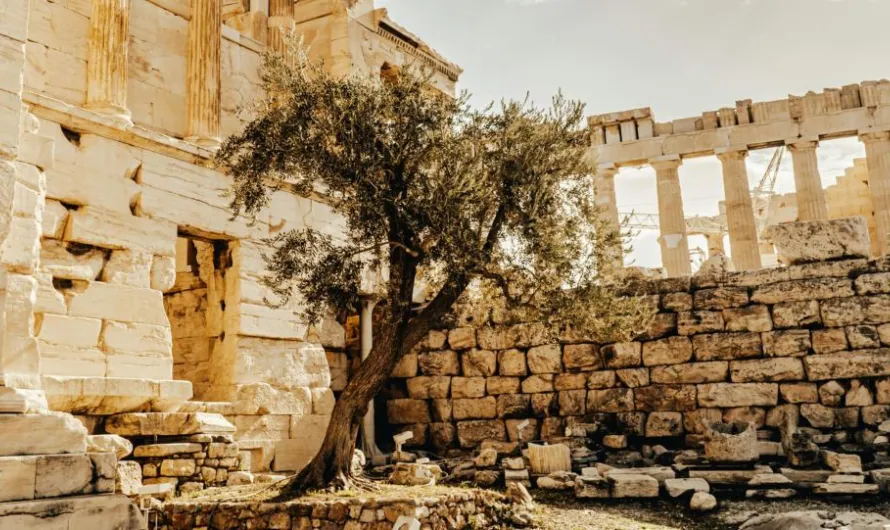 EDM Image Template 2